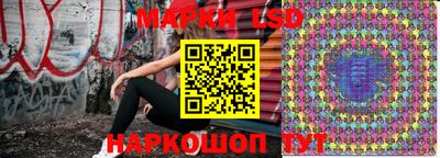 гидропоника Новозыбков