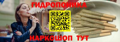 гидропоника Новозыбков