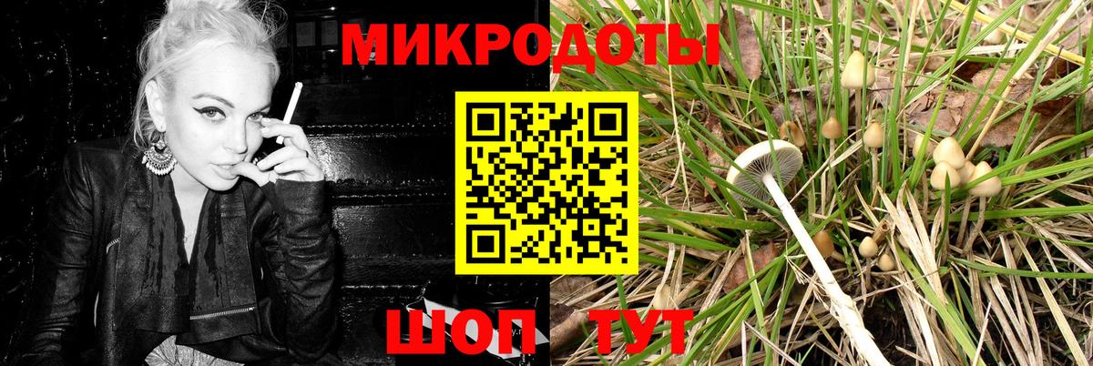 Псилоцибиновые грибы Cubensis Советск