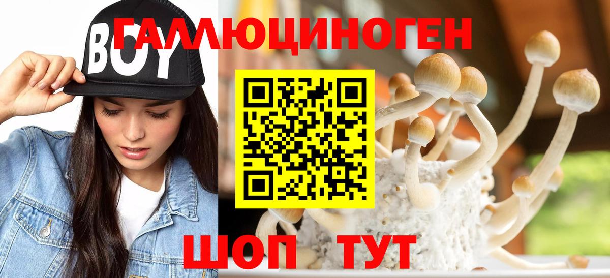 Советск  Псилоцибиновые грибы прущие грибы  Вход с VPN  Псилоцибиновые грибы мицелий 